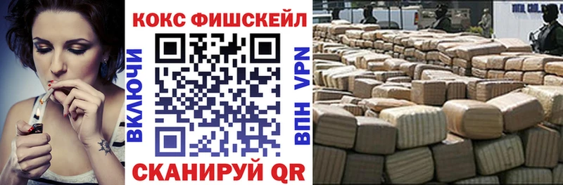 Купить где  Сысерть  КОКАИН Fish Scale 