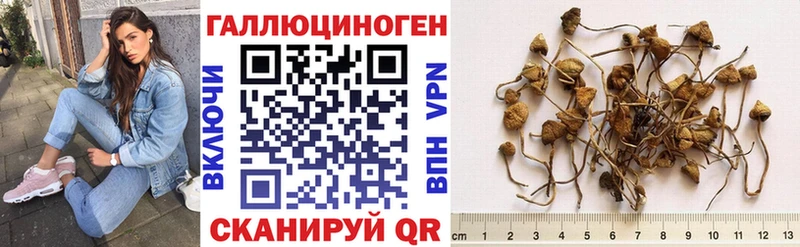 Псилоцибиновые грибы Magic Shrooms  Купить где  Сысерть 