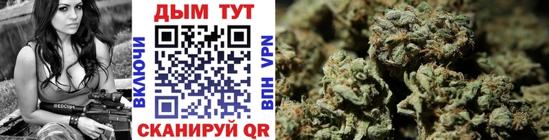 Купить  Сысерть  Бошки марихуана план 